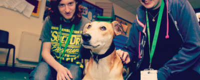 Animal Care Page 2